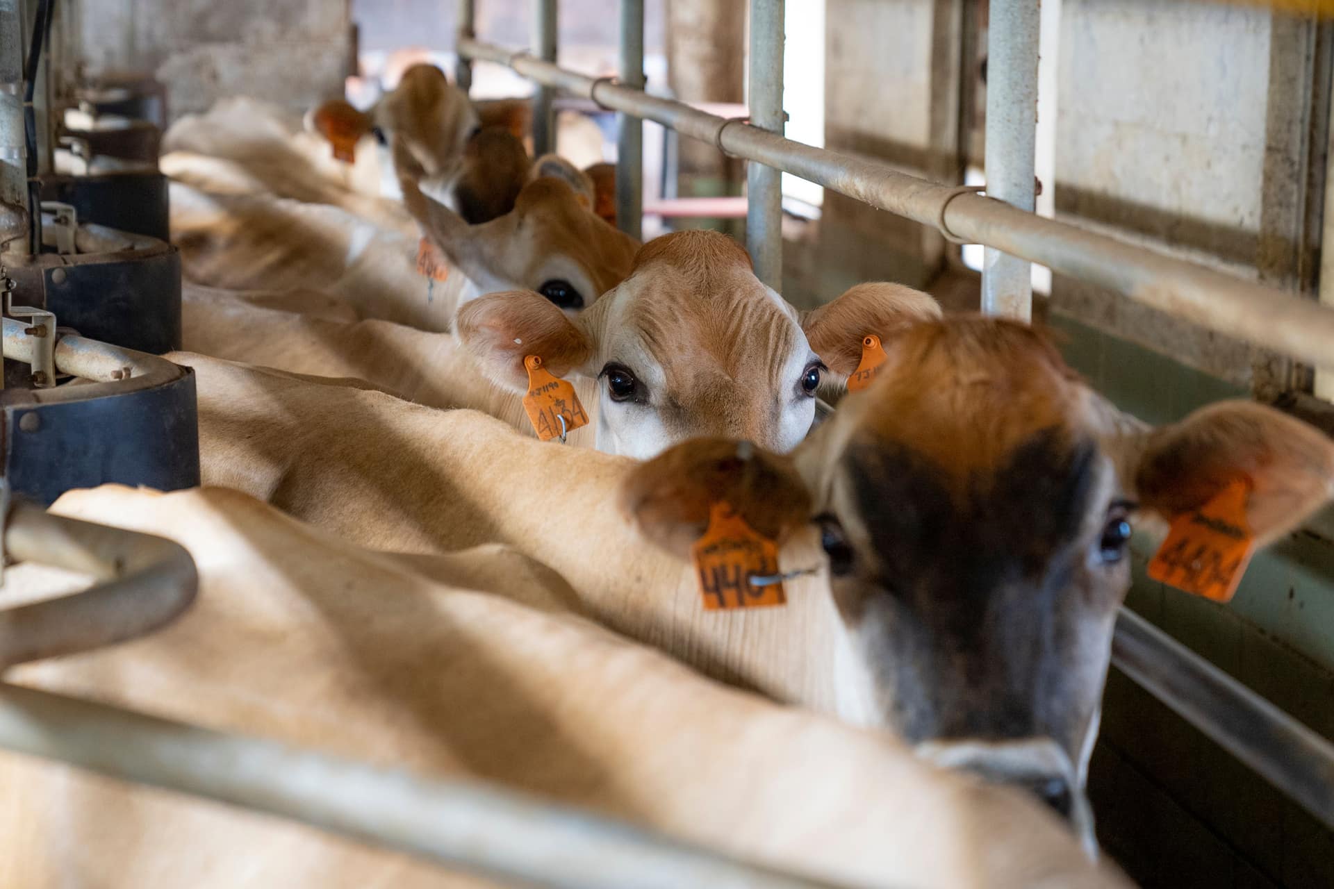 Vue aérienne de la ferme dans son environnement